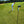 Tour Pro Golf Pod 3.0 Height Adjustable Magnetic Phone Tripod & Spike